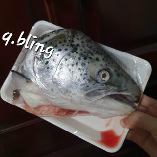 Đầu cá hồi - xương cá hồi nauy tươi ngon 1-1.2kg ship hoả tốc hà nội