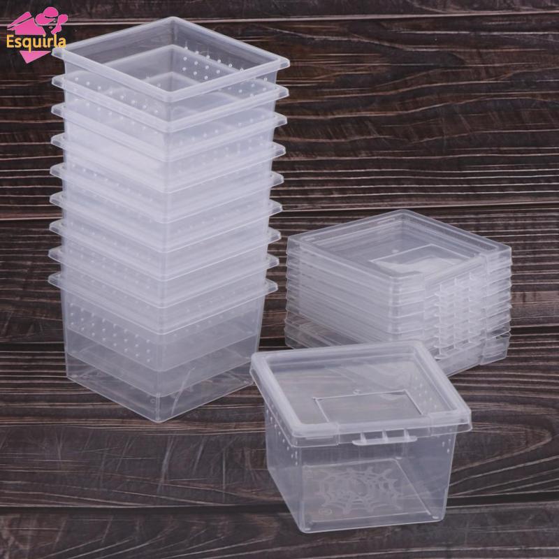Bộ 40 Hộp Đựng Thức Ăn Trong Suốt Cho Bò Sát / Bò Sát / Thằn Lằn / Bò Sát