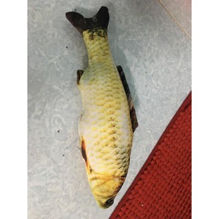 Đồ chơi cá catnip cho mèo