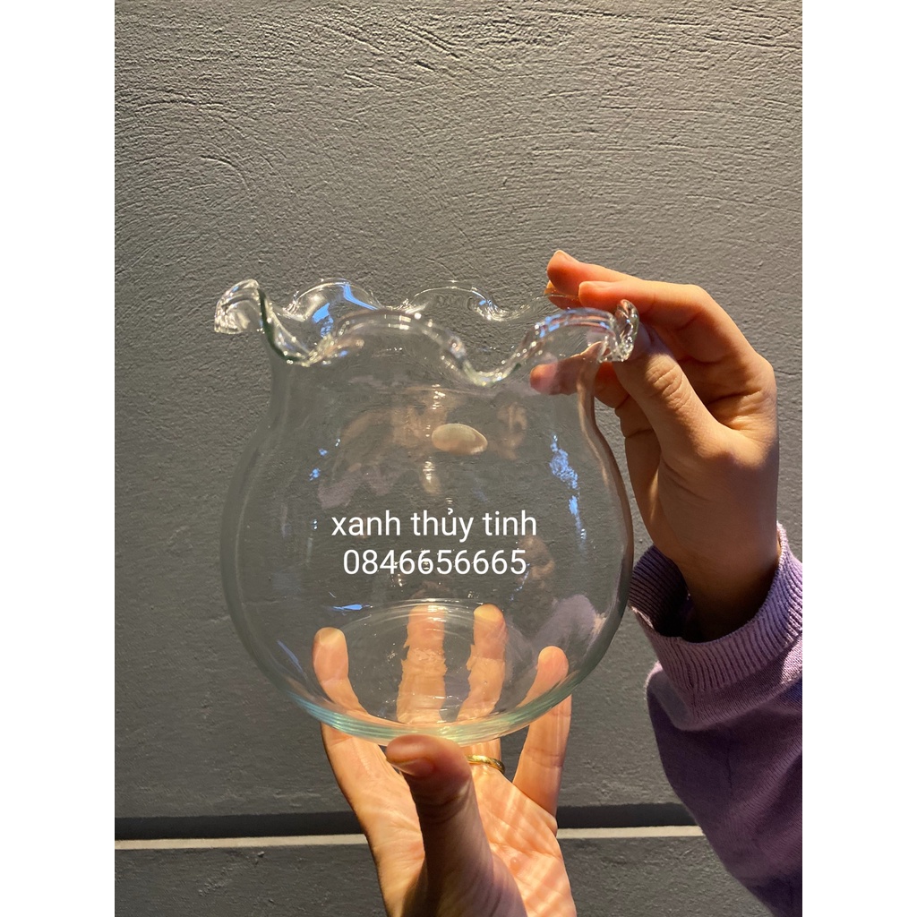 Bể cá/ bể thủy sinh/ hồ cá Mini chất liệu thủy tinh trong veo, miệng BÈO xinh xắn nhiều size (Tặng kèm túi sỏi + 1 cây R