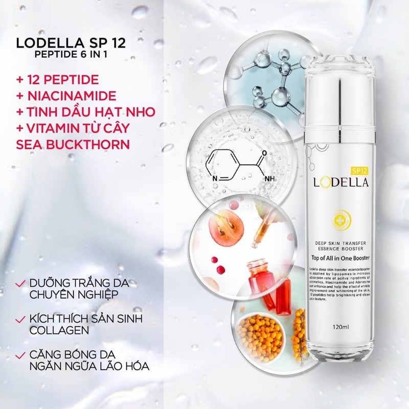Tinh chất tái tạo da 6in1 Lodella SP12 Peptide Omni Essence Booster 120ml
