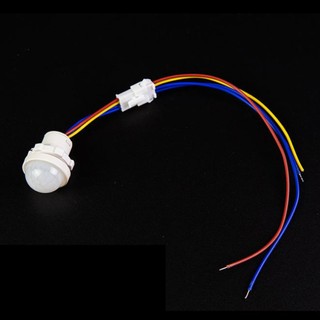 110v 220v Light Switch Sensor Intelligent Switch Automatic Switch On Off