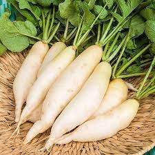 hạt giống củ cải trắng