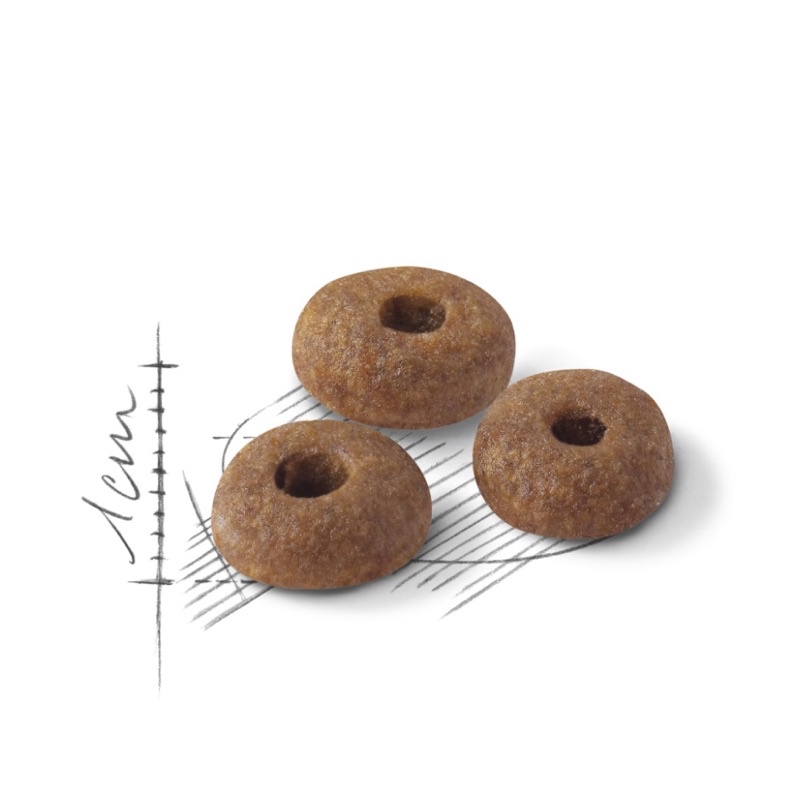 Hạt Royal canin Fit 32 cho mèo trưởng thành vận động thường xuyên - Hạt cho mèo BINW pack