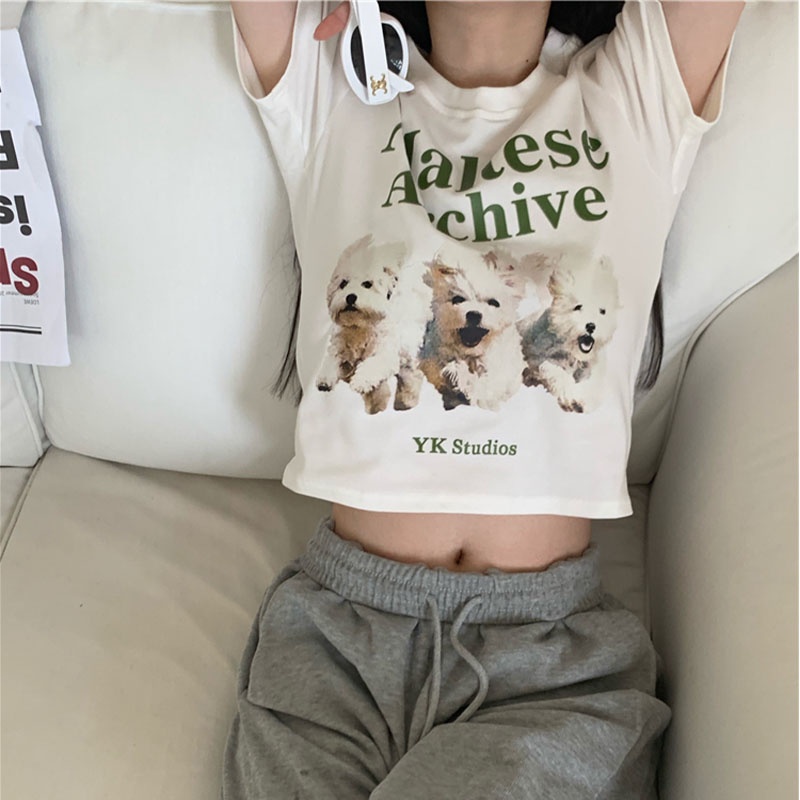 Áo thun XINLANYASHE ngắn tay cổ tròn in họa tiết thời trang cho nữ