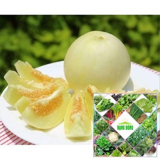 15H - HẠT GIỐNG DƯA LÊ SIÊU NGỌT THE GARDEN
