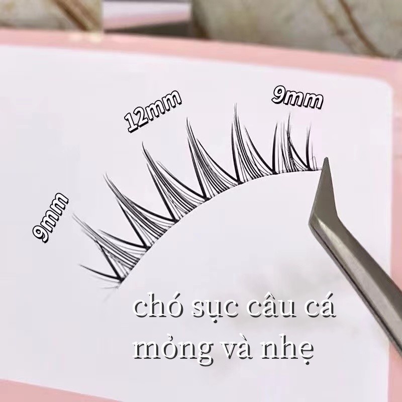 Set 5 cặp lông mi giả MENGJIESHANGPIN phong cách mắt mèo tự nhiên phóng khoáng
