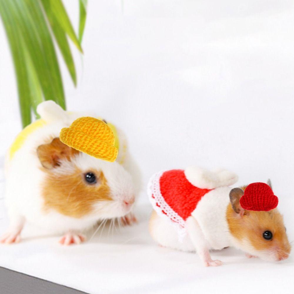 Mũ Dệt Kim Mềm Mại Co Giãn Nhiều Màu Sắc Có Dây Đeo Cằm Cho Chuột Hamster / Heo Guinea