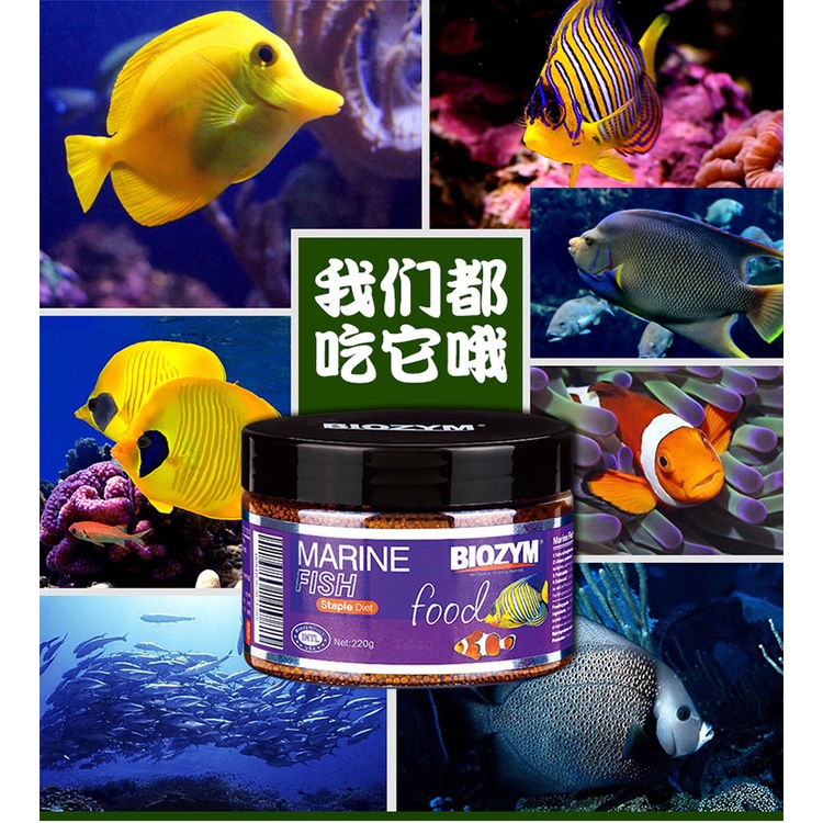 Thức ăn cho cá biển BIOZYM cao cấp - thức ăn cá biển tổng hợp - phụ kiện hồ nước mặn- shopleo