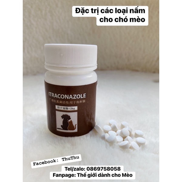 Viên Triịi Nấm Chó Mèo. Không cần tắm, không cần cạo lông
