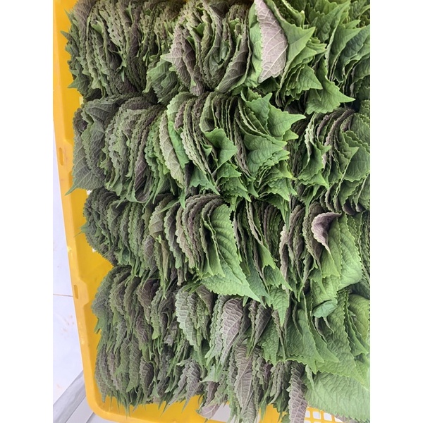 Sỉ lá mè Hàn Quốc 300gr