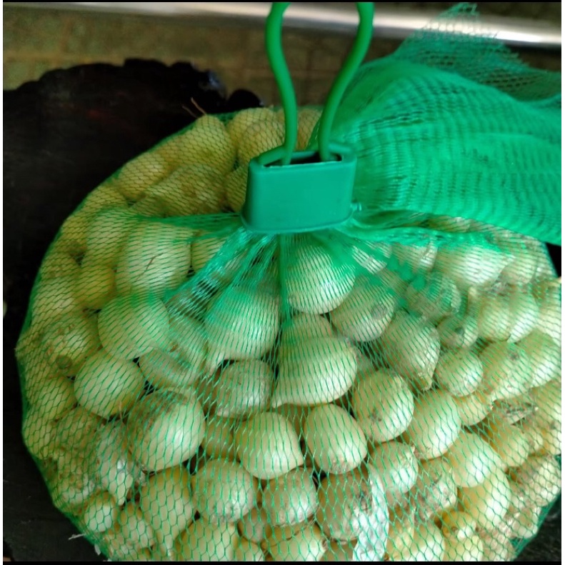 Củ hành ném hành tăm bán lẻ 100g và 500g