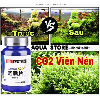 10 viên nén co2 cho bể thủy sinh- viên co2