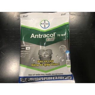 Thuốc trừ nấm Antracol 70WP Bayer gói 40g - Vàng Lá, thán thư Lan, hoa..
