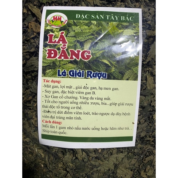 Lá đắng, lá dạ dày, lá cơm kìa