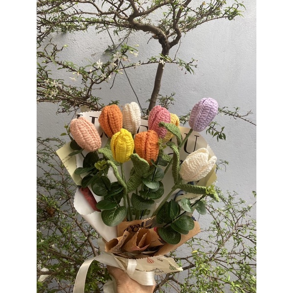 Hoa tulip len