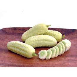 30 hạt giống dưa chuột trắng