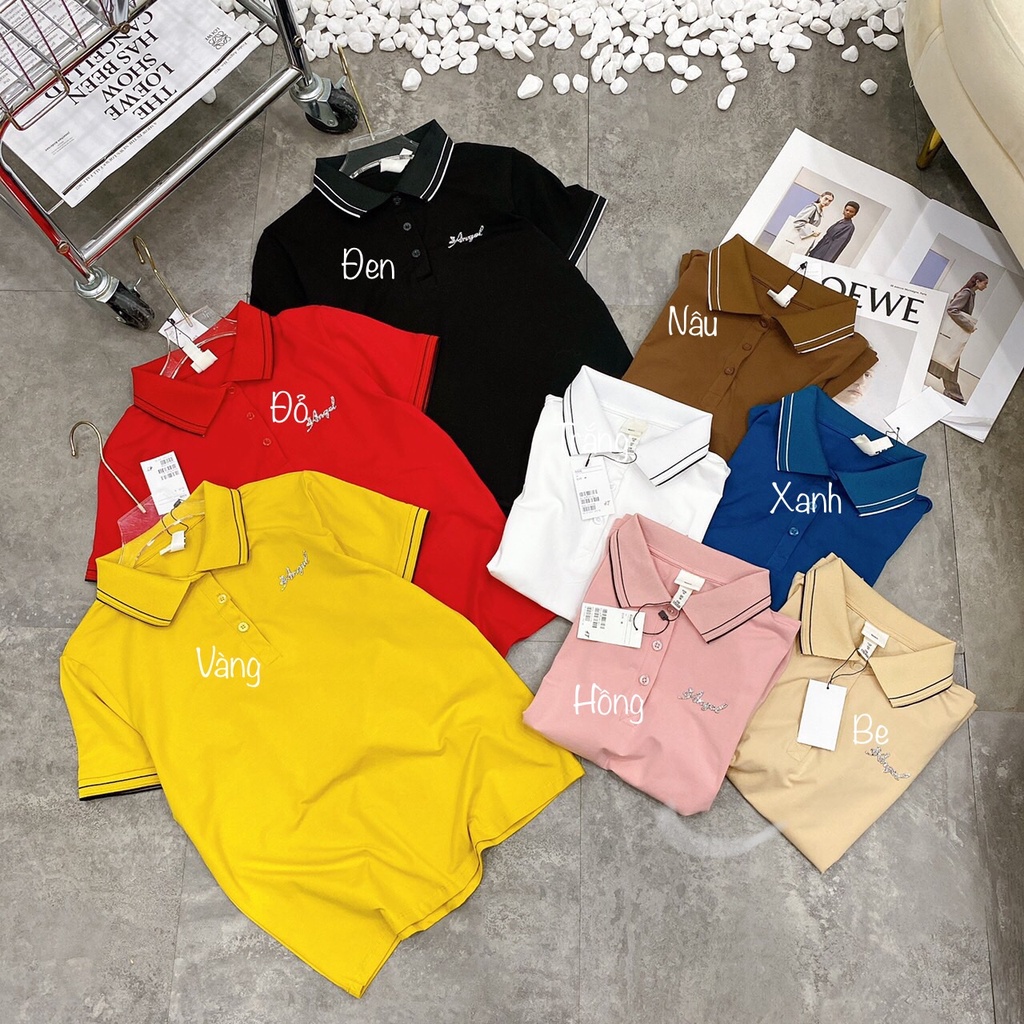 Áo Thun Polo Nữ Cổ Bẻ Viền Kẻ Cao Cấp | BigBuy360 - bigbuy360.vn