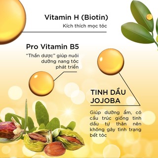 Tinh Chất Mọc Tóc Ngăn Rụng Tóc Oriti 100ml