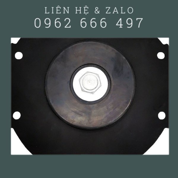 Màng van ASCO 1 inch 1,5 inch 2 inch 2,5 inch 3 inch