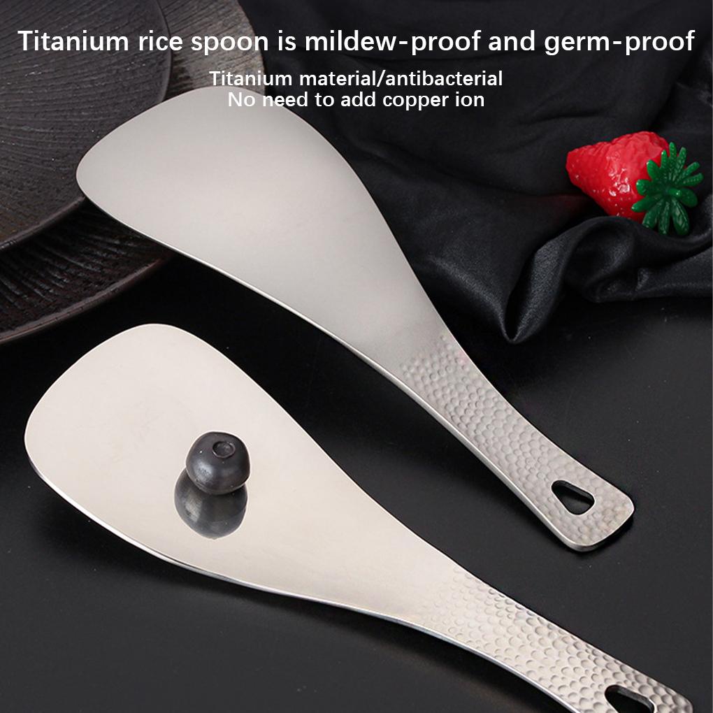 Muỗng Xới Cơm Bằng Gương Kháng Khuẩn Với Tay Cầm Dài Tiện Dụng