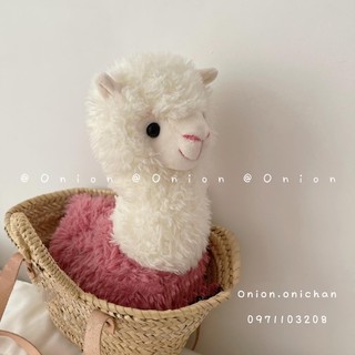 Lạc đà Alpaca bông thú nhồi bông nhiều cỡ