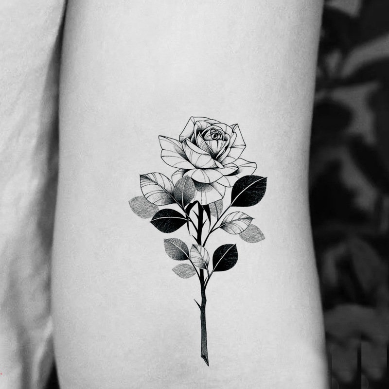 Hình Xăm Dán Tạm Thời Lâu Trôi 2 Tuần Độc Đáo