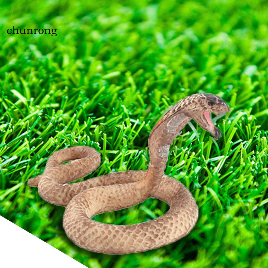 Cr Mô Hình Rắn Đồ Chơi Bằng Nhựa Cho Bé