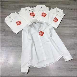 ÁO SƠ MI TRẮNG  ( SƠ MI NỮ CÔNG SỞ ) L1