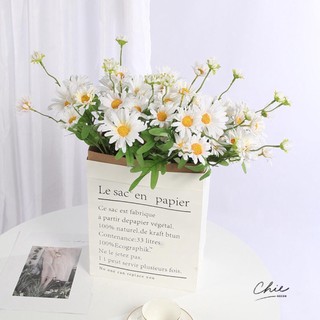 Cúc họa mi decor phòng cực xinh