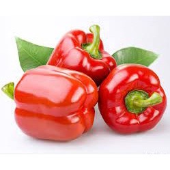 20 hạt giống ớt chuông ( ớt ngọt)