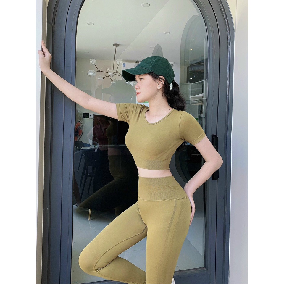 Đồ tập gym yoga thể thao nữ, set bộ dệt kim áo crop ngắn tay quần dài chun mông lưng cao gen bụng Bin Sport BD203