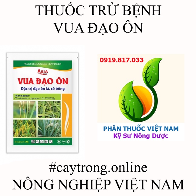 CHẾ PHẨM SINH HỌC VUA ĐẠO ÔN 25GRAM – T=R=Ị ĐẠO ÔN LÁ, CỔ BÔNG