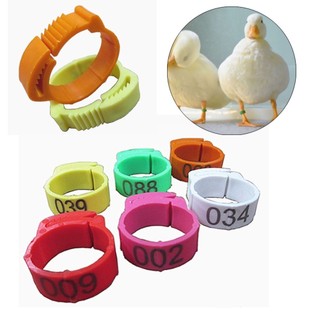 100 / 50 Chiếc Có Thể Điều Chỉnh Chân Gà Vòng Chân Gia Cầm Đường Kính Trong 2 Mm Đến 2.4cm Vòng Chân Có Thể Thu Vào 6 Màu