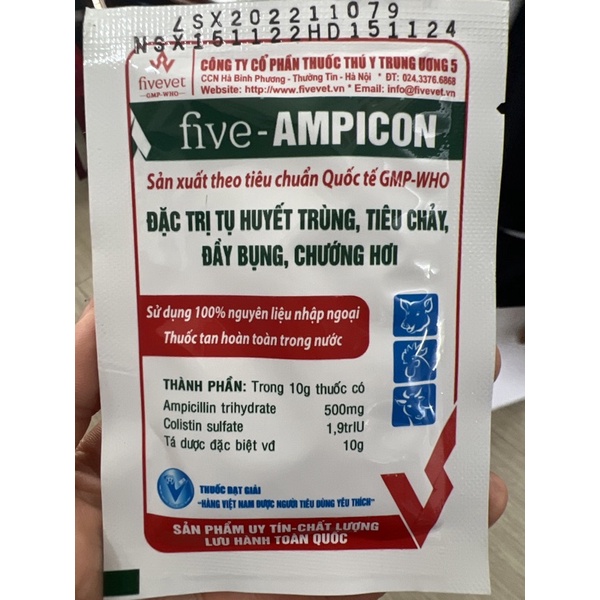 Five - Ampicon (ampicoli) gói 10gr - phân xanh, phân trắng tụ huyết trùng, tiêu chảy, chướng hơi