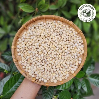 1kg hạt sen sấy khô loại 1 to, sạch, đẹp