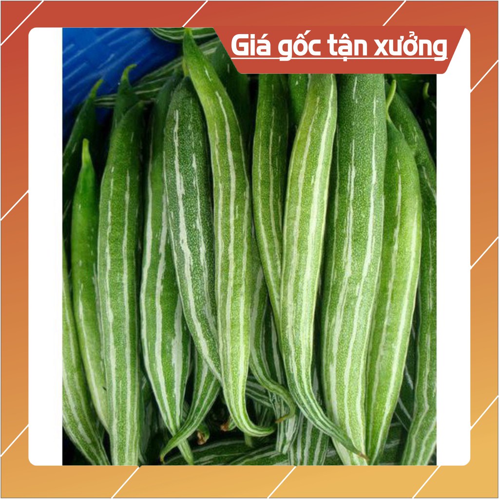 Hạt Giống Quả Lặc Lày (Lặc lè) 2g (Hàng Loại 1)