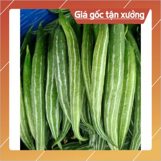 Hạt giống quả lặc lày 2g