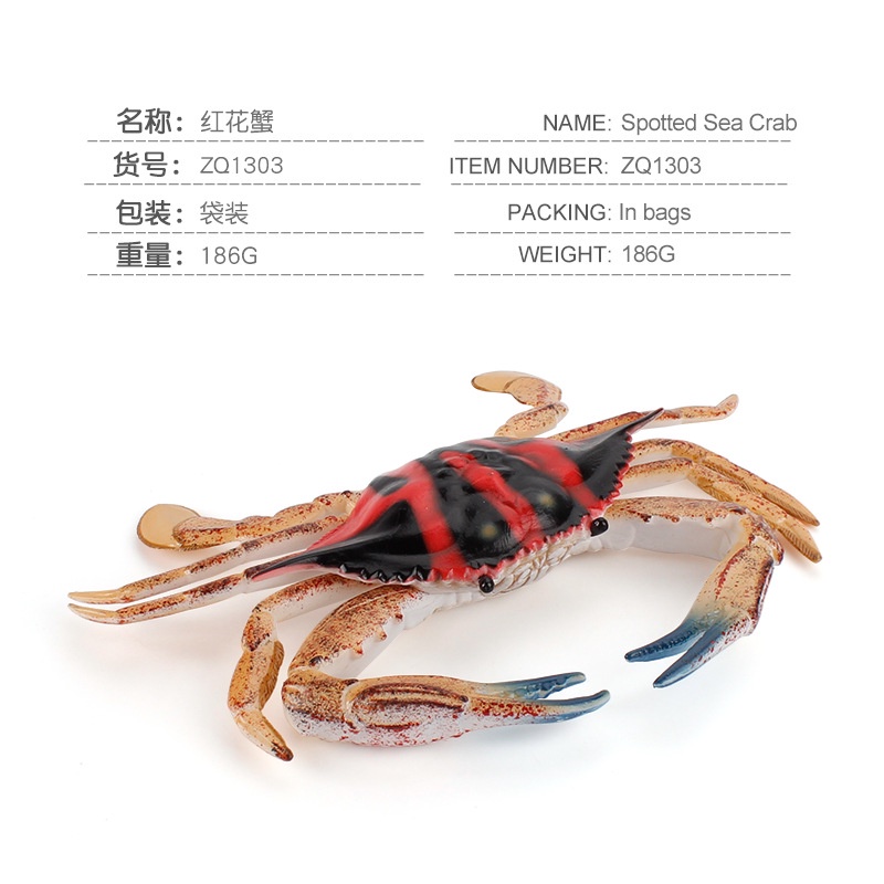 ♞Bán buôn tại nhà máy♞Mô hình cua sinh vật biển mô phỏng, cua hoàng đế ngộ nghĩnh, cua ẩn sĩ, cua dừa, đồ trang trí handmade nhiều loại, giáo cụ Montessori, đồ chơi nhà chơi trẻ em