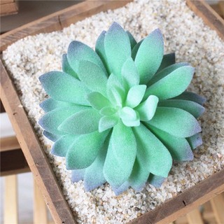 Chậu Hoa Sen Đá Giả Trang Trí