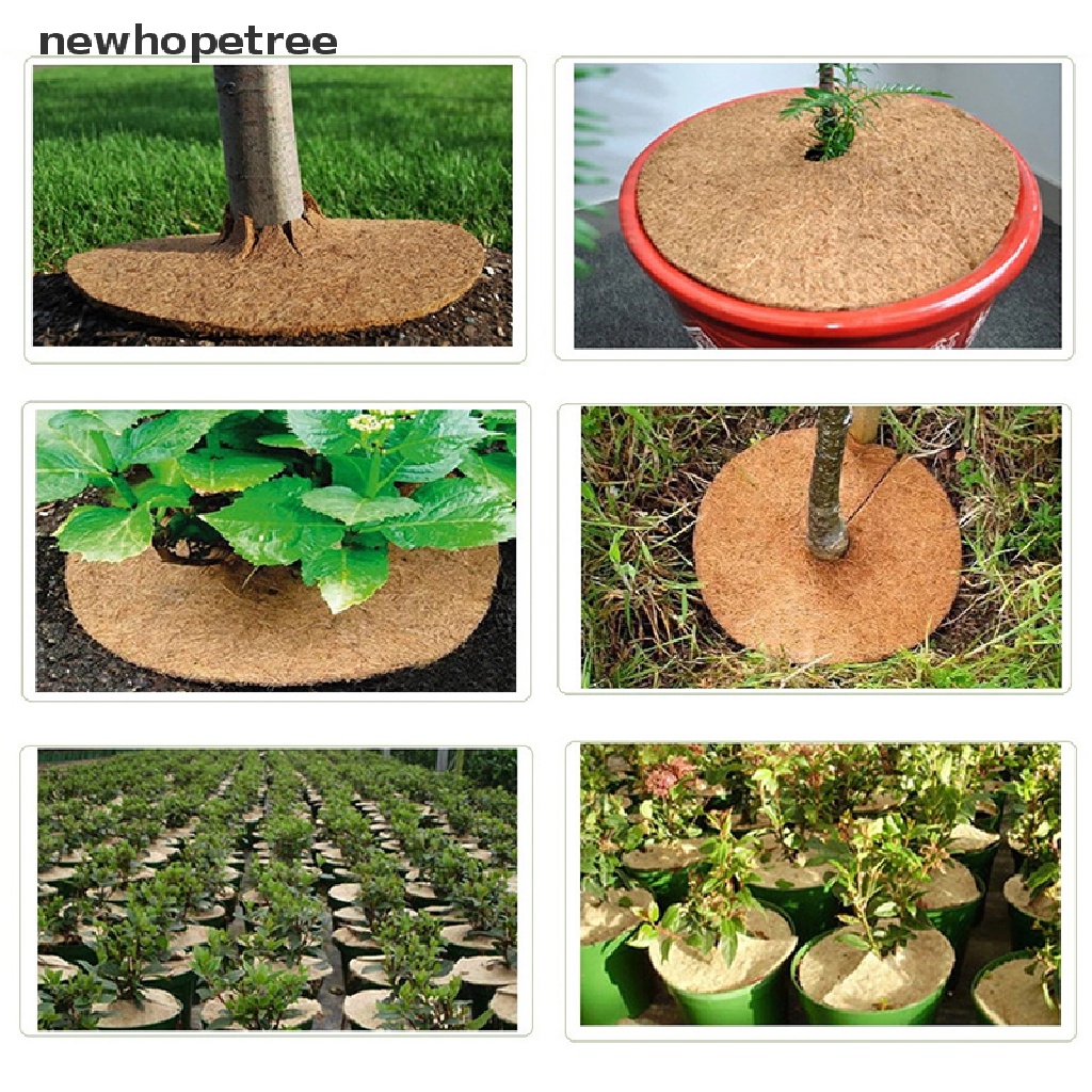 1 Miếng Lót Chậu Hoa Bằng Sợi Dừa Tự Nhiên