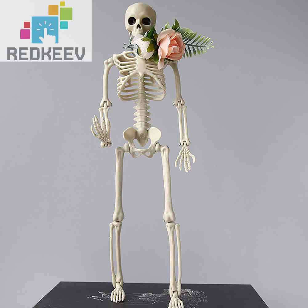 Bộ Xương Người Giả Trang Trí Halloween