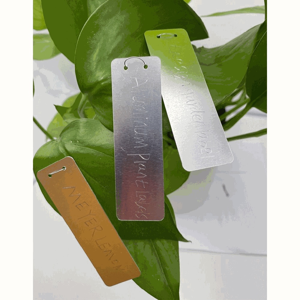 LONTIME Set 100 Nhãn Kim Loại Đánh Dấu Cây Trồng Trong Nhà Kính