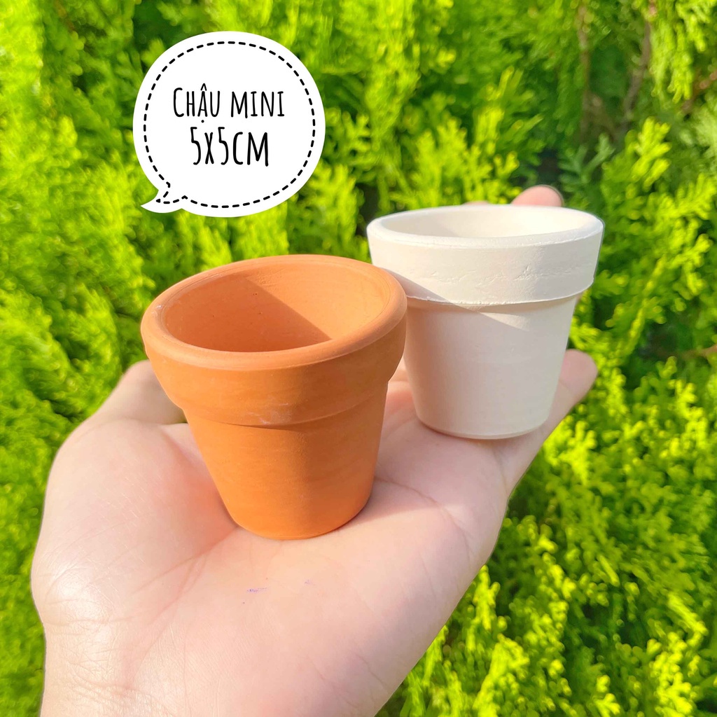 Chậu đất nung mini 5x5cm Trồng sen đá vỉ