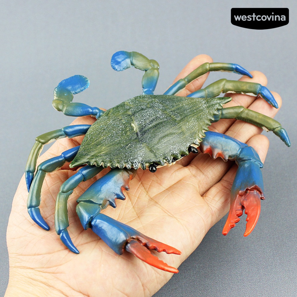 [COD]♋Mô Hình Đồ Chơi Chú Cua Biển Bằng PVC Để Bàn Trang Trí