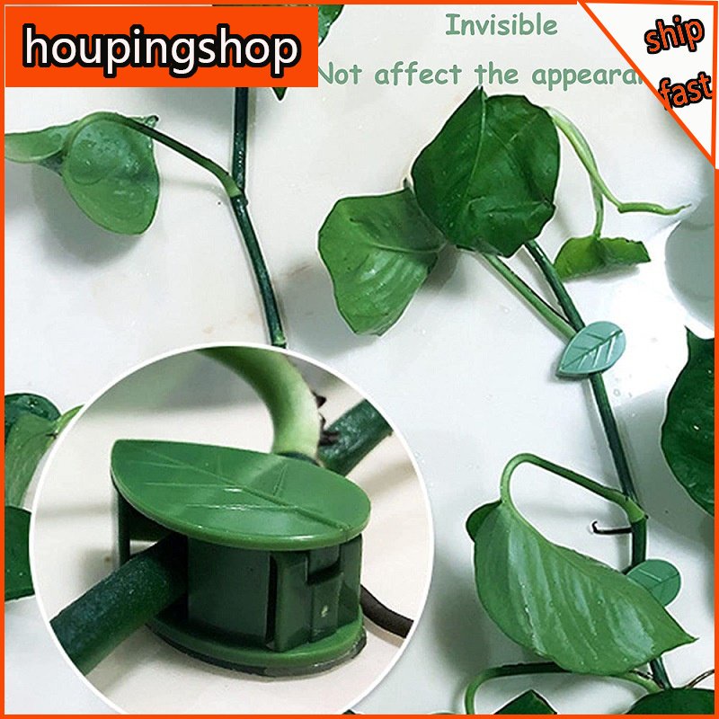 Set 10 Kẹp Cố Định Cây Dây Leo Tự Dính Vô Hình Màu Xanh Lá Cây Dây Cáp Và Dây Cáp
