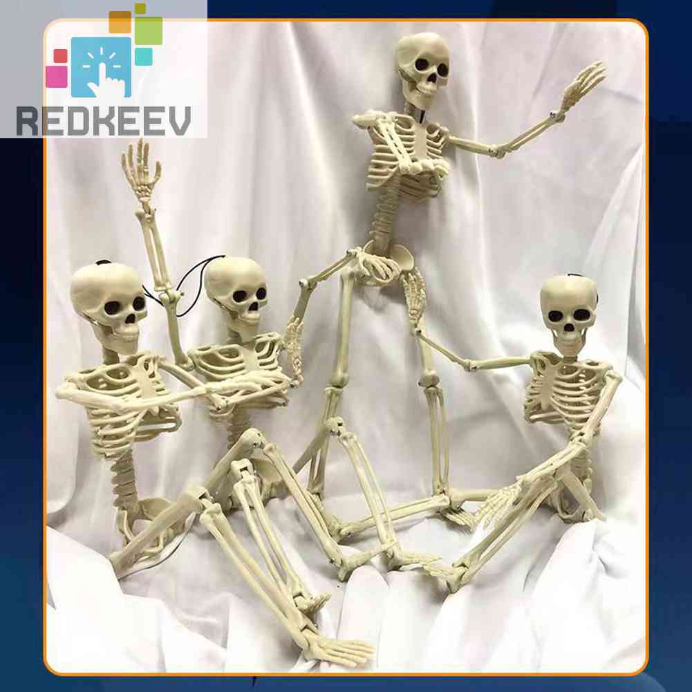 Bộ Xương Người Giả Trang Trí Halloween