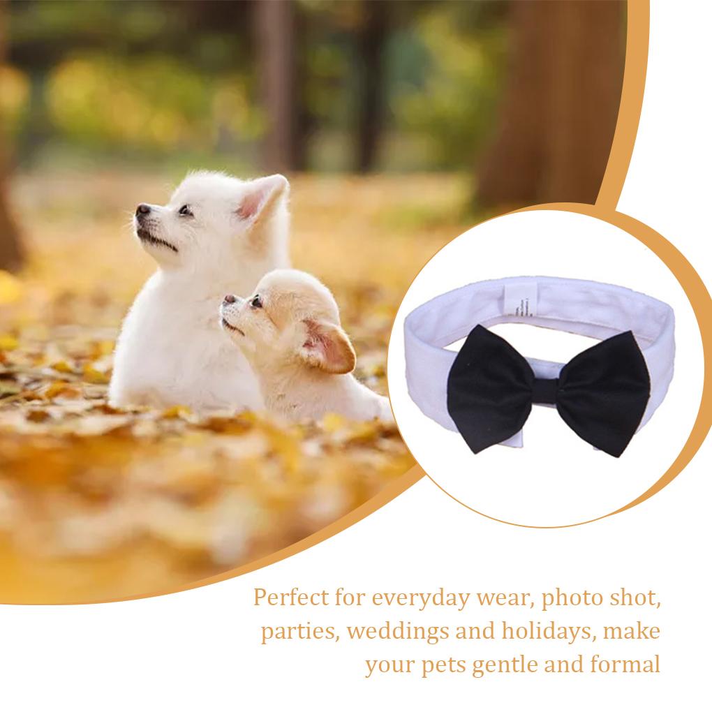 Vòng Cổ HìNh Nơ MàU Đen / TrắNg Cho Thú Cưng