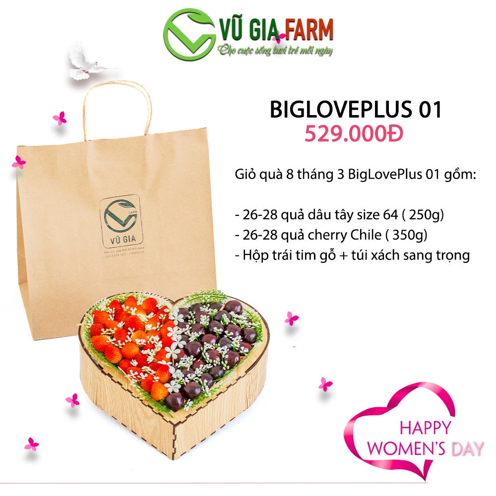 [GIỎ QUÀ TẶNG] BigLovePlus 01 Dâu Tây Đà Lạt Giống Nhật Sachi + Cherry Chile Cao Cấp