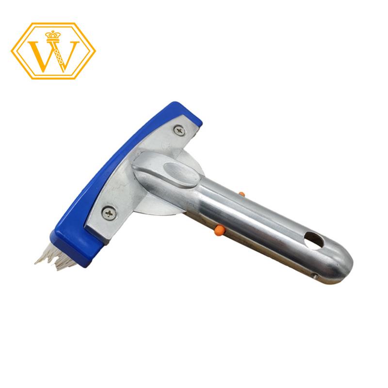 Bàn Chải Vệ Sinh Bể bơi Bằng Thép Không Gỉ 5.5In